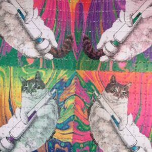 Acid (HappyCate) 100ug - 600ug